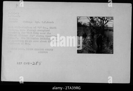 Des Marines AMÉRICAINS de la compagnie 'C', 11th Marines, effectuent des patrouilles lors de l'opération Chinook le 22 février 1967. Les Marines sont à la recherche de Viet Cong près d'un endroit appelé 'Stroot Wichcut Joy' dans une zone à environ 12 miles au sud-ouest d'Euo. Cette photographie a été prise par le sergent 2.F.Burch. Banque D'Images