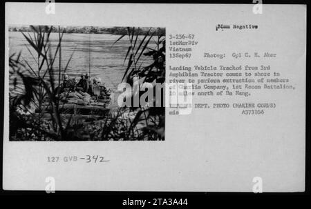 Un Landing Vehicle Tracked (LVT) du 3rd Amphibian Tractor est représenté sur cette photographie prise le 13 septembre 1967 pendant la guerre du Vietnam. Le LVT débarque dans une rivière pour extraire les membres de la compagnie Charlie, 1e bataillon Recon, situé à 10 miles au nord de Da Nang. Cette image a été capturée par le Cpl C. B. Aker et est un négatif de 35 mm. Une accréditation appropriée est donnée à la photo du Département de la Défense (corps des Marines). Banque D'Images