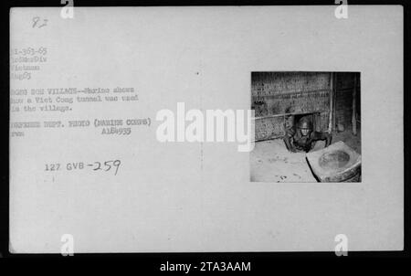 Un Marine démontre l'utilisation d'un tunnel Viet Cong dans le village de Dong Sou pendant l'école de guerre des mines en août 1965. Cette photo, prise par le ministère de la Défense, montre les structures de make-shift utilisées par les combattants Viet Cong. Image : A184935 127. GVB-259. Banque D'Images