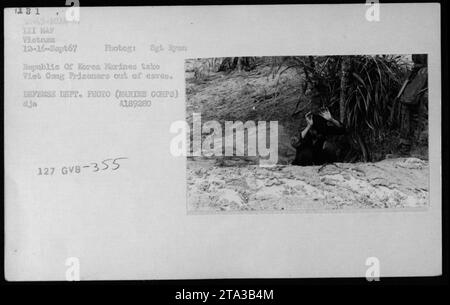 Un groupe de Marines de la République de Corée emmène les prisonniers Viet Cong hors des grottes pendant la guerre du Vietnam. La photographie est datée du 12 septembre 1967 et a été prise par le sergent Ryan. Cette image faisait partie de la collection de photos du département de la Défense. Banque D'Images