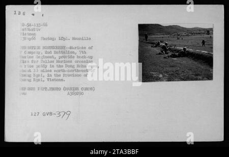 Les Marines AMÉRICAINS de la compagnie, 2e bataillon, 7e régiment de Marines, fournissent des tirs de secours à leurs camarades traversant une rizière dans la région de Dong Mahn lors de l'opération MONTGOMERY le 13 mai 1966. La photo montre des armes américaines utilisées pendant la guerre du Vietnam. Cette image a été prise par le Lcpl. Mennillo et est une photo officielle du ministère de la Défense (corps des Marines). Banque D'Images