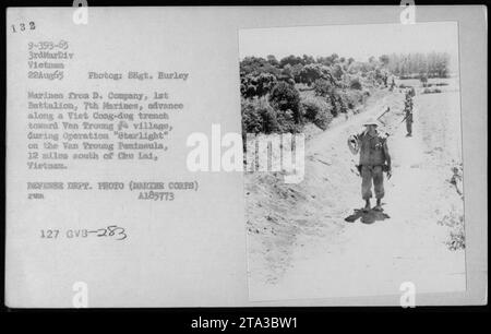 Les Marines de la compagnie D., 1e bataillon, 7e Marines, avançant le long d'une tranchée creusée par Viet Cong vers le village n ° 4 de Van Troung, pendant l'opération 'Starlight' sur la péninsule de Van Proung. Cette photographie a été prise le 22 août 1965 par un photographe non identifié du corps des Marines des États-Unis. L'image porte le numéro de référence A185773 Xum 127 GVB-283. Banque D'Images