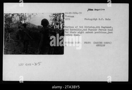 Des Marines de la 3e division, du 4e régiment, du 2e bataillon et des forces populaires sont photographiés se dirigeant vers leurs positions d'embuscade nocturne juste avant le crépuscule. Cette photographie a été prise au Vietnam en 1970 par le Sgt R.F. Ruiz et est un négatif de 35mm. Il est classé sous le numéro de référence 3M-20-0004-70 et porte le code photo A800358 du ministère de la Défense. Banque D'Images