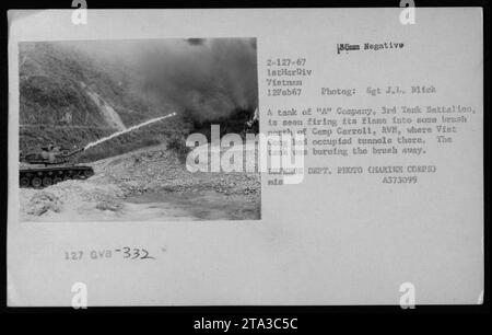 Le char de la compagnie 'a' du 3rd Tank Battalion tire des flammes dans la brousse au nord de Camp Carroll, RVM le 12 février 1967. Viet Cong avait occupé des tunnels dans la région, et le réservoir a été utilisé pour brûler la brousse. Cette photographie a été prise par le Sgt J.L. Blick et fait partie de la collection du ministère de la Défense. Banque D'Images