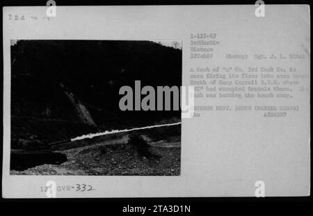 Légende : 'un char d'Un Co. 3rd Tank BN. Tire son lance-flammes pour dégager la végétation au nord de Camp Carroll, B.V.N. pendant la guerre du Vietnam. Les troupes avaient occupé des tunnels dans la région et le char brûlait la brousse. 12 février 1967. Photo du sergent J. L. Blick. DEPT. DÉFENSE PHOTO (MARINE CORPS).' Banque D'Images