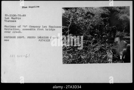 Des Marines de la compagnie 'A', du 1e bataillon du génie, de la 1e division des Marines, construisent un pont au-dessus d'un ruisseau pendant la guerre du Vietnam. Cette image capture les activités militaires des forces américaines au Vietnam. Photographie prise par le corps des Marines du Département de la Défense et portant le numéro d'identification 2326-70-69. Banque D'Images