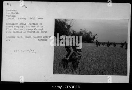 Des Marines de la Bravo Company, du 1e bataillon, du 1e Marines sont représentés en train de mener l'opération tôt le 25 mars 1967, au Vietnam. Ils peuvent être vus balayer à travers les rizières au combat, capturant la nature intense de l'opération. Cette photographie est une image officielle du ministère de la Défense prise par le Lcpl Lowes. Banque D'Images