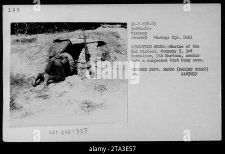 Marine du 2e peloton, compagnie I, 3e Bataillon, 9e Marines, vu ramper dans une grotte suspectée de Viet Cong lors de l'opération Skull le 16 octobre 1965. La photo, prise par le caporal Dahl, illustre les activités militaires américaines pendant la guerre du Vietnam. Département de la défense Photo (corps des Marines) A185899 XWm. Banque D'Images