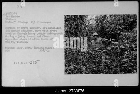 Les Marines de la Bravo Company, 1e bataillon, 5e régiment de Marines, naviguent soigneusement dans la jungle dense tout en participant à une opération de recherche et de nettoyage de 3 jours à environ 10 miles au sud de Tam Ky, Vietnam. La photographie montre les mouvements prudents des troupes qui sécurisent la zone pendant cette patrouille du 28 janvier 1967. Banque D'Images