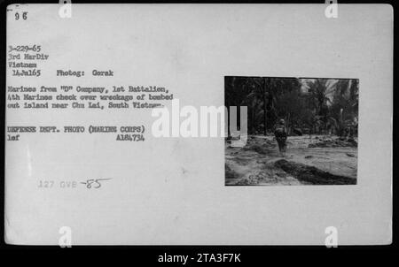 Les Marines de la compagnie 'd', 1e Bataillon, 4e Marines examinant les restes d'une île bombardée près de Chu Lai, Sud Vietnam le 14 juillet 1965. La photographie a été prise par un photographe du Département de la Défense de la 3e Division des Marines. (Photo : A184734) Banque D'Images