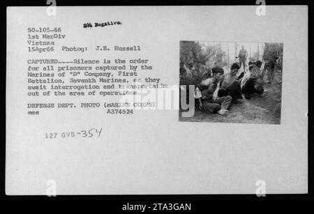 Légende : les Marines de la compagnie 'd', premier bataillon, 7e Marines, capturent et détiennent les suspects et prisonniers Viet Cong pendant la guerre du Vietnam le 15 avril 1966. Les prisonniers sont détenus et traités pour interrogatoire et transport hors de la zone opérationnelle. Cette photographie a été prise par J.E. Russell et est étiquetée comme négatif 50-105-66 dans les archives du Département de la Défense. Banque D'Images