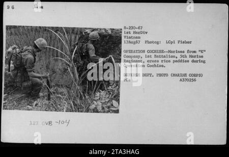 Des Marines de la compagnie 'K', 1e bataillon, 5e régiment de Marines, traversant des rizières lors de l'opération Cochise au Vietnam le 17 août 1967. La photographie a été prise par le Lcpl Fisher et fait partie de la collection de photos du Département de la Défense (Marine corps). Banque D'Images