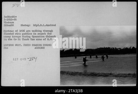 Les Marines de 3/26 marchent à travers des rizières inondées lors de l'opération Chinook dans la région de Co Bi Thanh Tan de R.V.N. le 26 décembre 1966. Ils effectuent des patrouilles à la recherche des récoltes ennemies. Cette photographie a été prise par le Lcpl.B.L.Amelrod, et provient de la photographie du Département de la Défense (corps des Marines). Banque D'Images