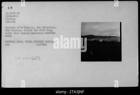 Marines de la compagnie G, 2e Bataillon, 9e Marines, engageant Viet Cong dans l'opération HARVEST MOON. Prise le 12 décembre 1965, pendant la guerre du Vietnam. Cette photographie capture l'intensité et la bravoure des soldats américains au combat. Se défendant sous le feu ennemi, les Marines démontrent leur engagement dans la mission. Banque D'Images