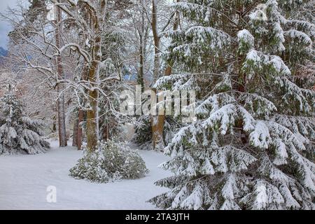 DE - BAVIÈRE : hiver au-dessus de la rivière Isar à Bad Toelz (Oberbayern) Banque D'Images