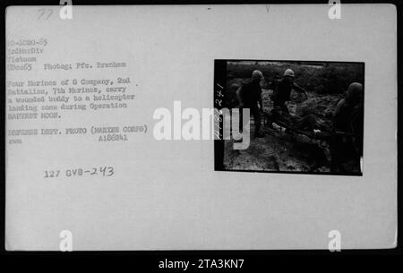 Les Marines de la compagnie G, 2e Bataillon, 7e Marines, évacuent un camarade blessé vers une zone d'atterrissage d'hélicoptère pendant l'opération HARVEST MOON. La photo a été prise le 8 décembre 1965 au Vietnam par le soldat Branhem, et elle fait partie d'une collection documentant les activités militaires américaines pendant la guerre du Vietnam. Banque D'Images