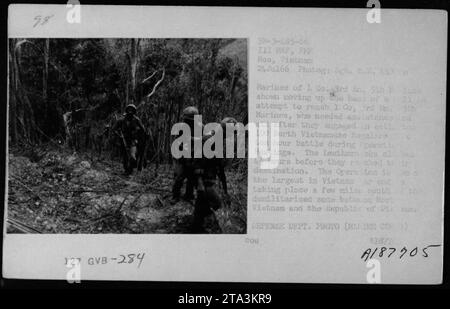 Un groupe de Marines de la compagnie L, 3e Bataillon, 5e Régiment, est vu se déplacer vers la base pour aider le 1e Bataillon, 3e Marines, qui ont été engagés dans une bataille de 100 heures contre les réguliers nord-vietnamiens pendant l'opération Hastings. Cette opération, l'une des plus importantes de la guerre du Vietnam, a eu lieu près de la zone démilitarisée entre le Nord-Vietnam et la République du Vietnam. Photo de l'IDF par le sergent E.E. A18770. Banque D'Images