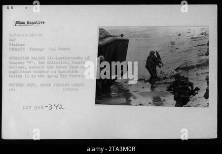 Des Marines de la compagnie 'G' du 2e Bataillon, 4e Marines, sont montrés ici dans un tracteur amphibie lors de l'opération Saline II dans la province de Quang Tri, Vietnam le 12 mars 1968. Cette photographie montre l'atterrissage de véhicules connus sous le nom de véhicules d'atterrissage suivis (STPGV) ou de véhicules d'atterrissage suivis (PTPGV). DEPT. DÉFENSE PHOTO (MARINE CORPS) RFA A190919 127 GVB-342. Banque D'Images