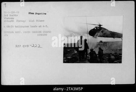 Un hélicoptère UH-34 du 222e Bataillon atterrit à A-3 pendant la guerre du Vietnam. Cette photographie a été prise le 27 janvier 1968 par le Lcpl Tilson, photographe au Département de la Défense. Il s'agit d'un négatif de 35 mm, numéroté 3D-9-256-68, et fait partie des archives de la 3e Division des Marines. Banque D'Images