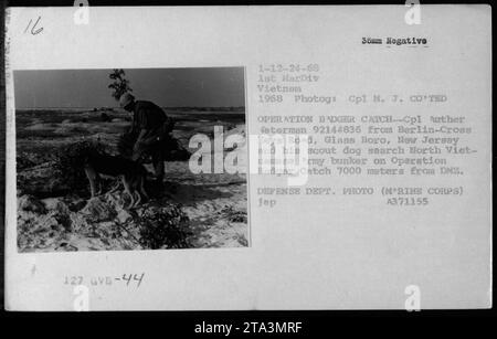 Au cours de l'opération Badger Catch en 1968, le caporal Auther Waterman et son chien éclaireur ont été photographiés à la recherche de bunkers de l'armée nord-vietnamienne à 7000 mètres de la zone démilitarisée. L'image capture les activités militaires intenses pendant la guerre du Vietnam. (La légende est basée sur les informations fournies dans la description de l'image) Banque D'Images