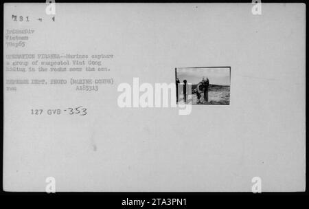 Un groupe de Viet Cong suspectés sont capturés par les Marines lors de l'opération Piranha. La photo a été prise le 7 septembre 1965 par le corps des Marines du Département de la Défense. Les suspects ont été retrouvés cachés dans les rochers près de la mer. PHOTO D'IDENTITÉ : A185313, 127 GVB-353. Banque D'Images