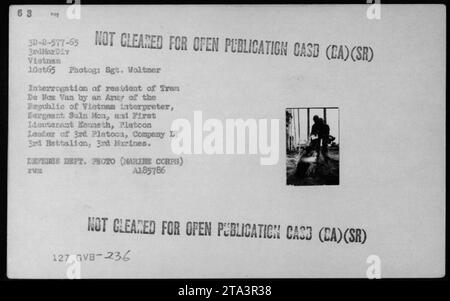 Des interrogateurs militaires américains interrogent un résident de Tran de mon Van, Vietnam, le 1 octobre 1965. L'interrogatoire a été mené par un interprète de l'armée de la République du Vietnam, le sergent Suln mon, et le chef de peloton du 3e peloton, compagnie L, 3e bataillon, 3e Marines, le premier lieutenant Kenneth. Banque D'Images