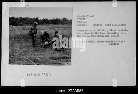 Les corpsmen du corps des Marines de 'B' Co., du premier bataillon du septième Marines fournissent des soins médicaux à un Marine blessé pendant l'opération Rio Blanco. Cette photographie, prise le 21 novembre 1966, montre le dévouement du personnel américain à fournir des soins médicaux pendant la guerre du Vietnam. Banque D'Images