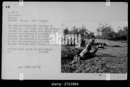 Les soldats de la compagnie 'A', du 1e bataillon, du 9e Marines, s'engagent dans une fusillade intense tout en essayant de protéger un hélicoptère d'évacuation médicale. L'hélicoptère tentait d'évacuer les soldats blessés par des mines lors de l'opération Chinook II dans le village de Trung Kieu, au Vietnam. Banque D'Images