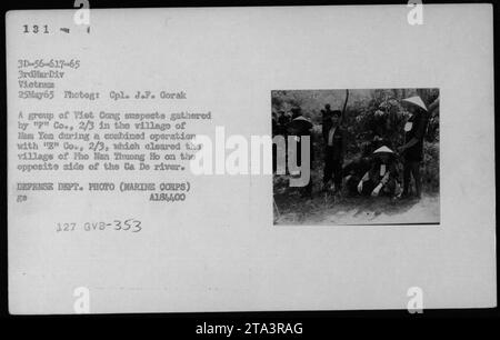 Cette photographie prise le 25 mai 1965 par le caporal J.F. Gorak montre un groupe de suspects et de prisonniers Viet Cong rassemblés dans le village de NEM Yon au cours d'une opération combinée avec np Co., 2/3, et 'g' Co., 2/3. L'opération visait à nettoyer le village voisin de Pho Nan Thuong Ho, de l'autre côté de la rivière CA de. Banque D'Images