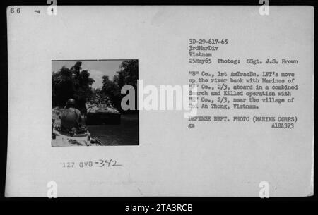 Des Marines de p Co., 2/3, sont à bord du STPGV alors qu'ils remontent la rive du fleuve au cours d'une opération conjointe de recherche et d'assassinat avec g' Co., 2/3, près du village de Hoi an Thong, Vietnam, le 25 mai 1965. Cette photographie a été prise par le SSgt. J.S. Brown de BH Co., 1st AnTracBn. A184373, DÉPT. DÉFENSE PHOTO (MARINE CORPS). Banque D'Images