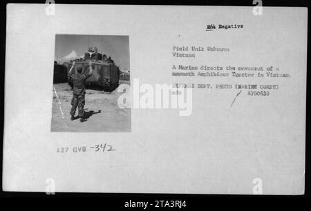 Un marin guide le mouvement d'un LVT (Landing Vehicle Tracked) au Vietnam pendant la guerre. Le LVT, en particulier le LVTP 127 GVB-342, a été largement utilisé par l'armée américaine pour des opérations amphibies. Cette photographie, prise par le ministère de la Défense, capture les activités de routine des troupes américaines pendant le conflit. Banque D'Images