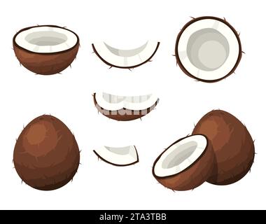 Ensemble de fruits bruns noix de coco avec des segments de noix, moitié, couper la tranche sur fond blanc. Fruits d'été pour un mode de vie sain. Nourriture tropicale, bio naturel Illustration de Vecteur