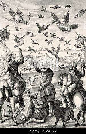 Chasse au faucon en 1630. Illustration ancienne de la nature 1887 Banque D'Images