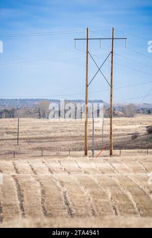 Lignes électriques sur de grands poteaux en bois surplombant le champ de foin récolté dans le comté de Rocky View Alberta Canada. Banque D'Images