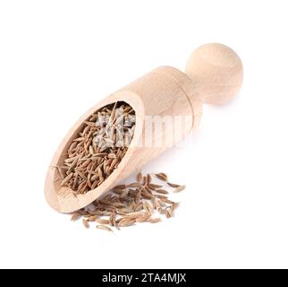 Cuillère de graines de carvi aromatique (cumin perse) isolées sur blanc Banque D'Images