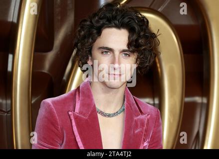 Londres, Royaume-Uni. 28 novembre 2023. Timothee Chalamet assiste à la première mondiale « Wonka » au Royal Festival Hall de Londres. Crédit : SOPA Images Limited/Alamy Live News Banque D'Images