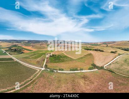 Paysage toscan sur une route de cyprès près de San Quirico d Orcia, Italie Banque D'Images