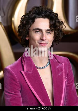 Londres, Royaume-Uni. 28 novembre 2023. Timothée Chalamet arrivant à la première mondiale de Wonka, Royal Festival Hall, Londres, Royaume-Uni, novembre 28, 2023. photo de Stuart Hardy/ABACAPRESS.COM crédit : Abaca Press/Alamy Live News Banque D'Images