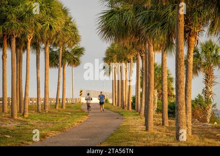 Skyway Beach, FL, États-Unis - 22 novembre 2023 : jogging matinal - deux coureurs masculins sur un sentier parmi les palmiers le long de l'autoroute Sunshine Skyway. Banque D'Images