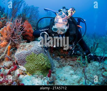 Boynton Beach, États-Unis. 05 août 2023. Un plongeur souligne le changement de couleur d’un corail cérébral en détresse, car les températures de la mer plus chaudes que la normale affectent la santé globale du système de récifs au large de Boynton Beach, Floride, le samedi 5 août 2023. Les températures de l'eau dans certaines parties du sud de la Floride ont été mesurées à plus de 100 degrés. Photo de Joe Marino/UPI crédit : UPI/Alamy Live News Banque D'Images