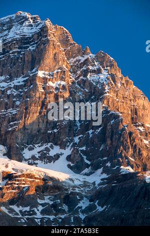 Le Mont Temple, Banff National Park, Alberta, Canada Banque D'Images