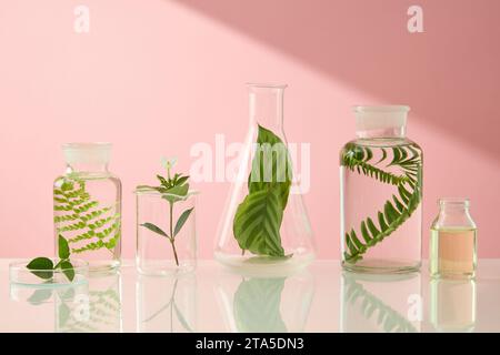 Différents types de verrerie de laboratoire contenant des feuilles vertes sont disposés en ligne. Recherche et développement du concept de produit de soin de beauté par scient Banque D'Images