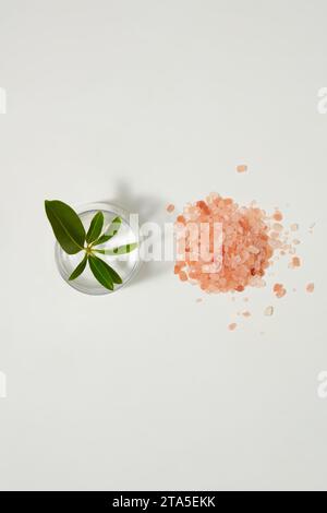 Scène minimale d'une poignée de sel rose de l'himalaya décorée d'une tasse avec des feuilles vertes à l'intérieur. Ajouter une pincée de sel rose aux repas ou aux boissons peut-il Banque D'Images