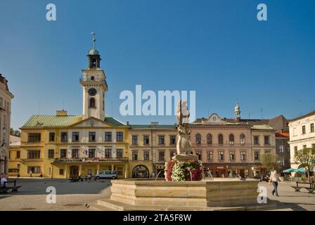 Hôtel de ville de Rynek (place du marché) à Cieszyn, Śląskie, Pologne Banque D'Images