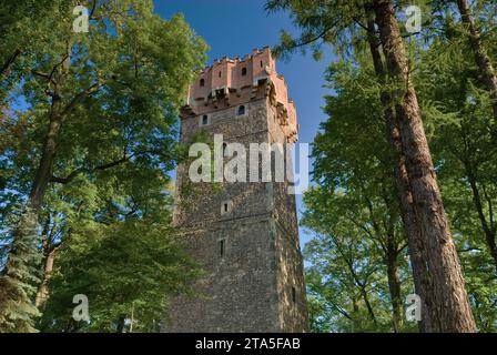 Tour du château de Piast, 14e siècle, à Cieszyn, Śląskie, Pologne Banque D'Images