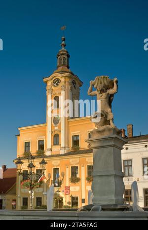 Statue à la fontaine et hôtel de ville à Rynek (place du marché) à Skoczów, Śląskie, Pologne Banque D'Images