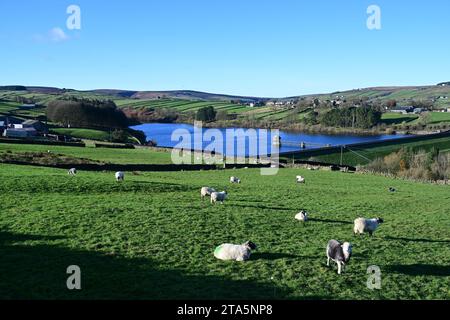 Haworth Moor et Lower Laithe réservoir, soleil d'automne, West Yorkshire. Banque D'Images