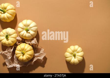 Sur le fond marron, des mini citrouilles affichées, créez un espace vide pour la conception ou ajoutez du texte. Vue de dessus. Décorations d'automne. Contexte pour adverti Banque D'Images