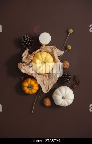 Concept de décoration d'automne et joyeux jour de Thanksgiving. Les citrouilles signifient une bonne saison de récolte. Fond brun pour ambiance chaude. Photographie créative pour la publicité Banque D'Images