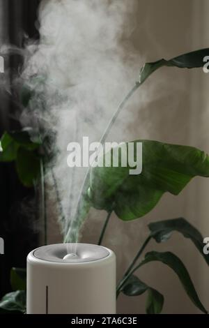 Diffuseur ultrasonique, purificateur d'air, humidificateur libère le flux du hammam froid pour la croissance appropriée de la plante d'intérieur. Soin hydratation des plantes dans l'air sec. AR Banque D'Images